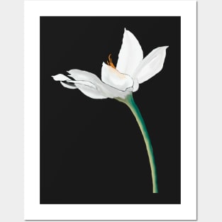 White Flower on Black Posters and Art
